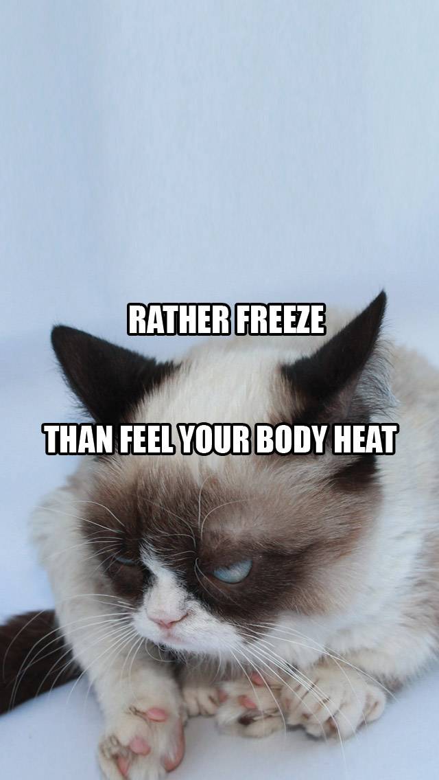 Grumpy Cat Weather for cold weather