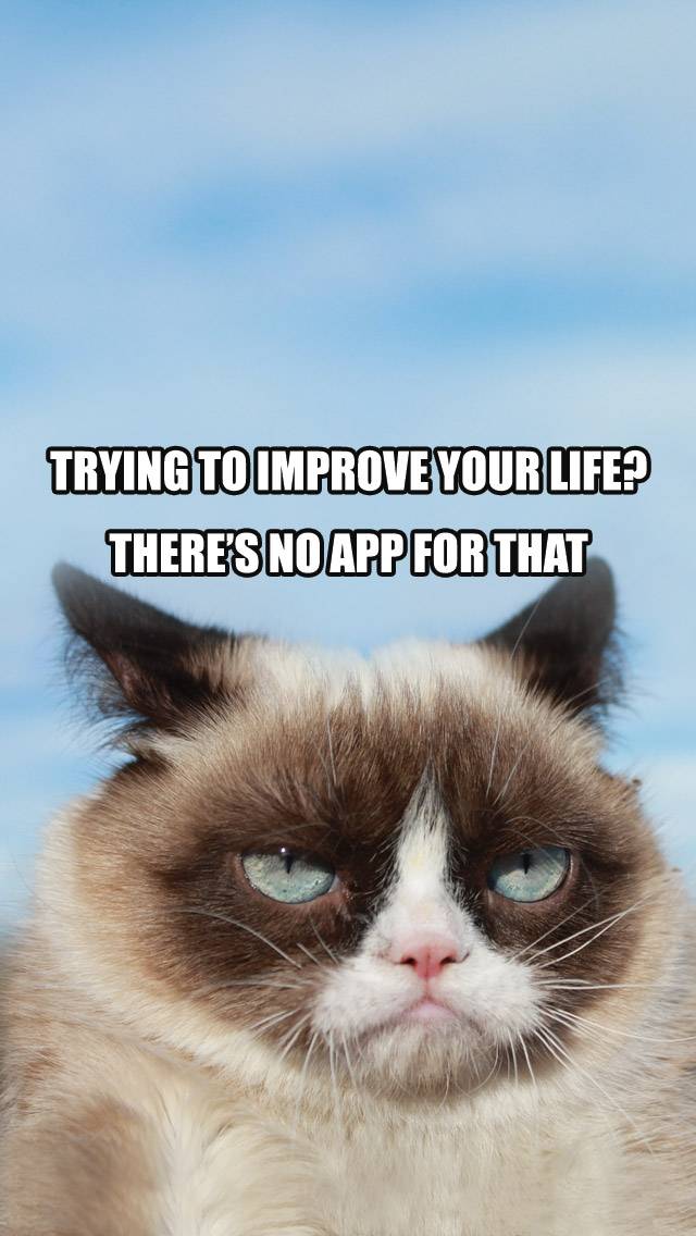 Grumpy Cat Weather for mostly cloudy weather