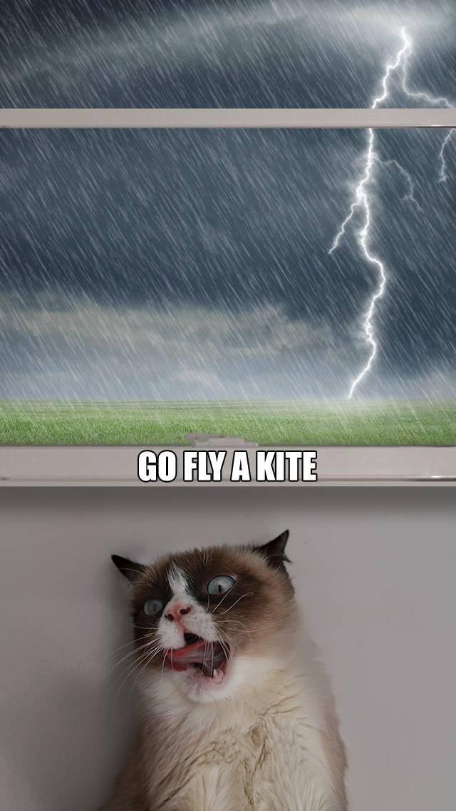Grumpy Cat Weather showing thunderstorm weather
